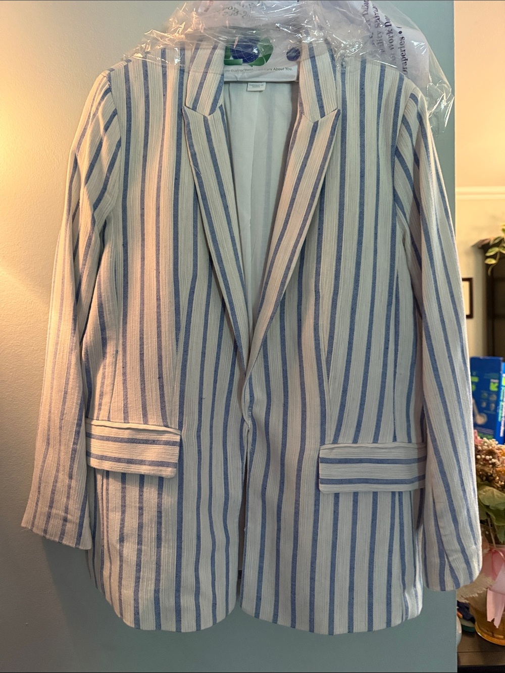 H&M Cream and Blue Striped Women's Blazer